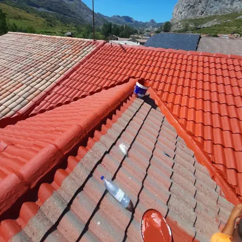 arreglodegoterasurgentesenhortaleza madrid 1920w