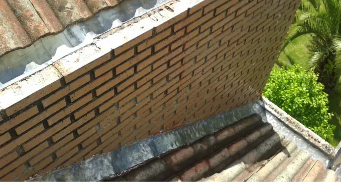 arreglodepesebresypesebronesenhortaleza madrid 1920w