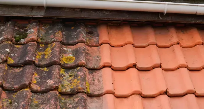 limpiezaydesinfecciondetejadosabajocosteenhortaleza madrid 1920w